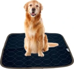 XXL Puppy Training Pad - Plasmat - Zwart - 104 X 104 Cm - Hondentoilet - Herbruikbaar - Wasbaar
