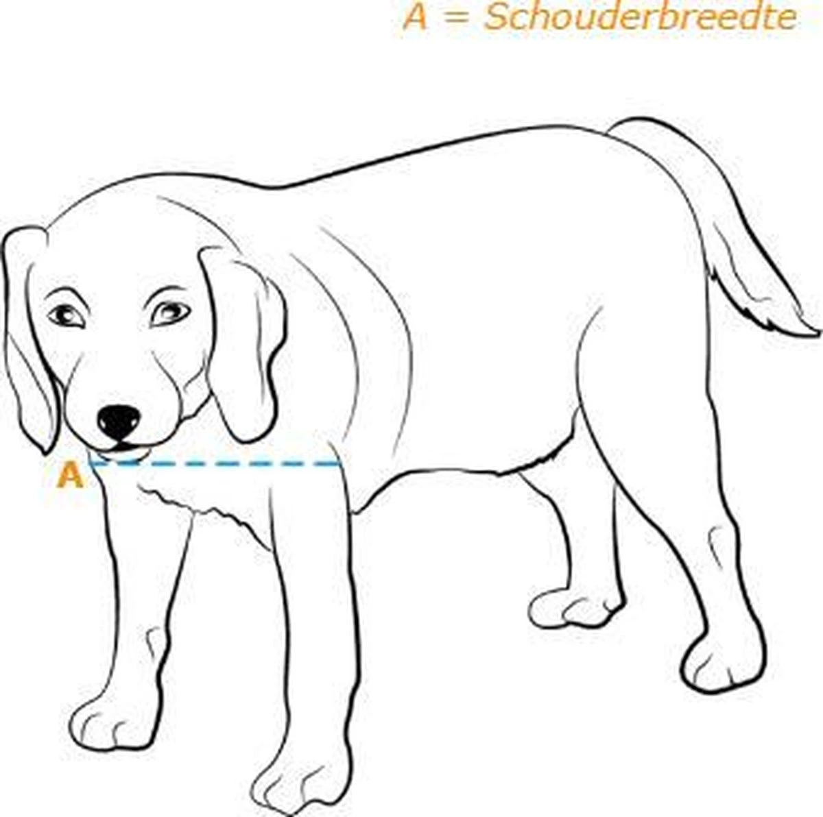 Petsafe 660 Hondenluik - Tot 100 Kg - Aluminium - Image 4