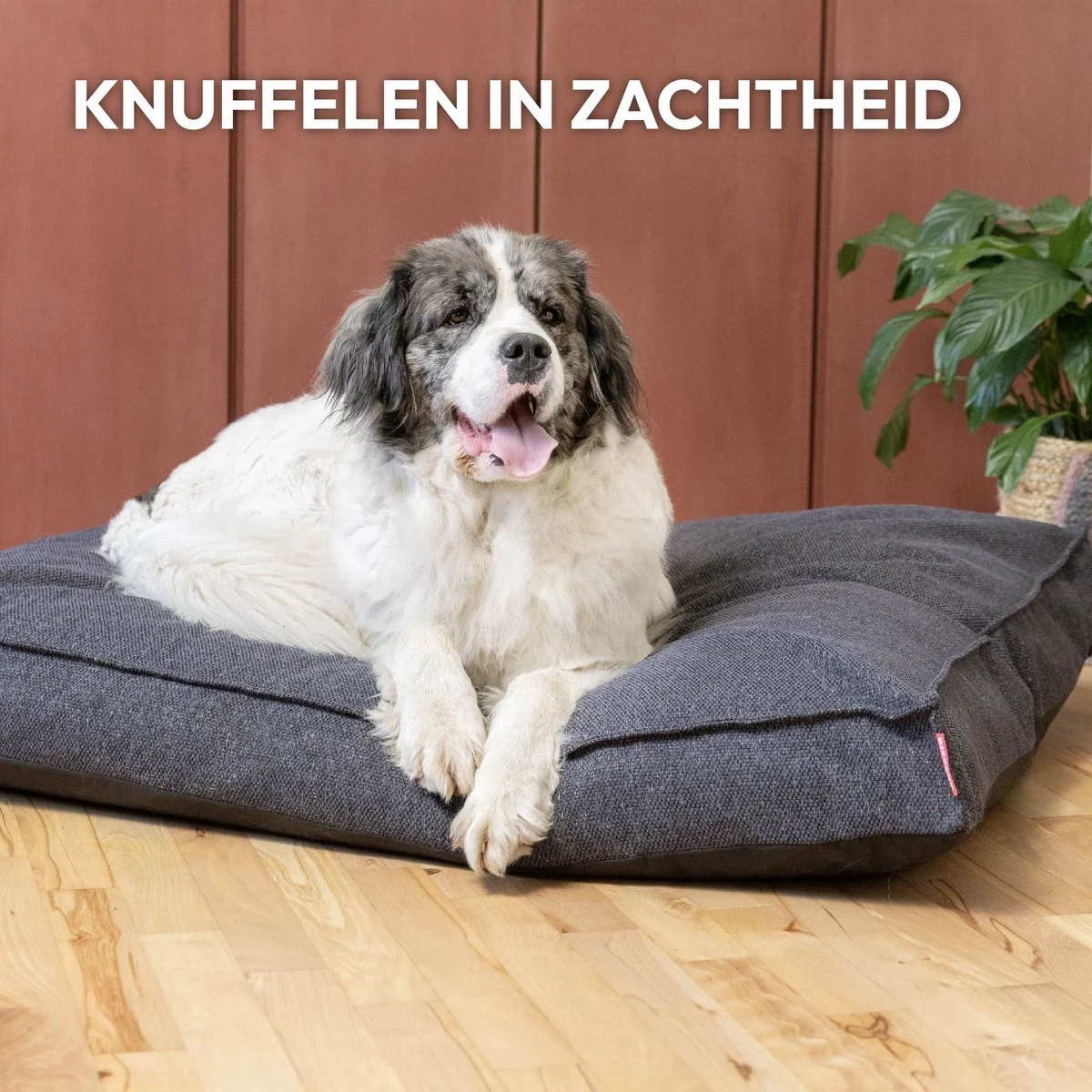 Snoozle Orthopedische Hondenmand - Zacht En Luxe Hondenkussen - Hondenbed - Wasbaar - Hondenmanden - 100 X 70 Cm - Stormy Grey - Image 9