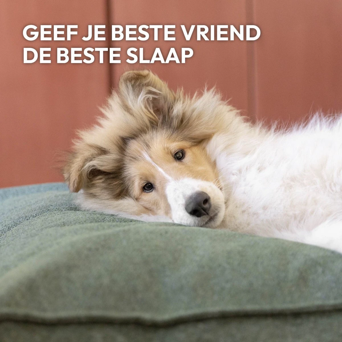 Snoozle Orthopedische Hondenmand - Zacht En Luxe Hondenkussen - Hondenbed - Wasbaar - Hondenmanden - 100 X 70 Cm - Stormy Grey - Image 10