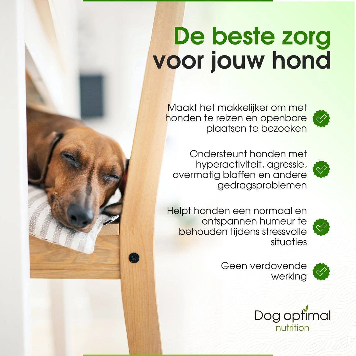 RUST EN KALMEREN CALMING Support 120 Stuks - Kalmeren - AntistressmiddelHond - Hond - Hondenkoekjes - Hondensupplementen - Honden - Puppy - Hondenvoeding - Image 4