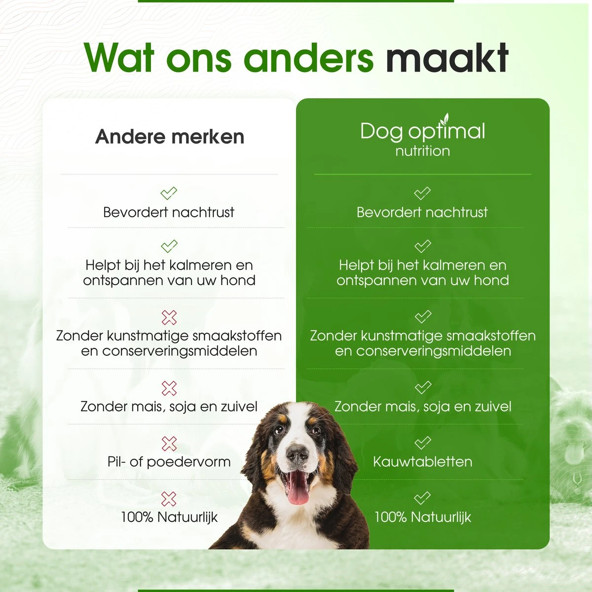 RUST EN KALMEREN CALMING Support 120 Stuks - Kalmeren - AntistressmiddelHond - Hond - Hondenkoekjes - Hondensupplementen - Honden - Puppy - Hondenvoeding - Image 5