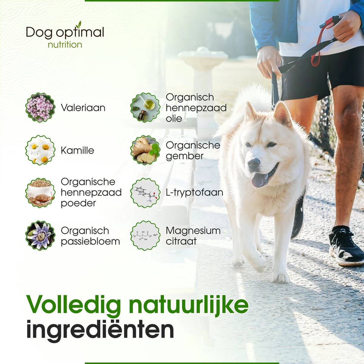 RUST EN KALMEREN CALMING Support 120 Stuks - Kalmeren - AntistressmiddelHond - Hond - Hondenkoekjes - Hondensupplementen - Honden - Puppy - Hondenvoeding - Image 8