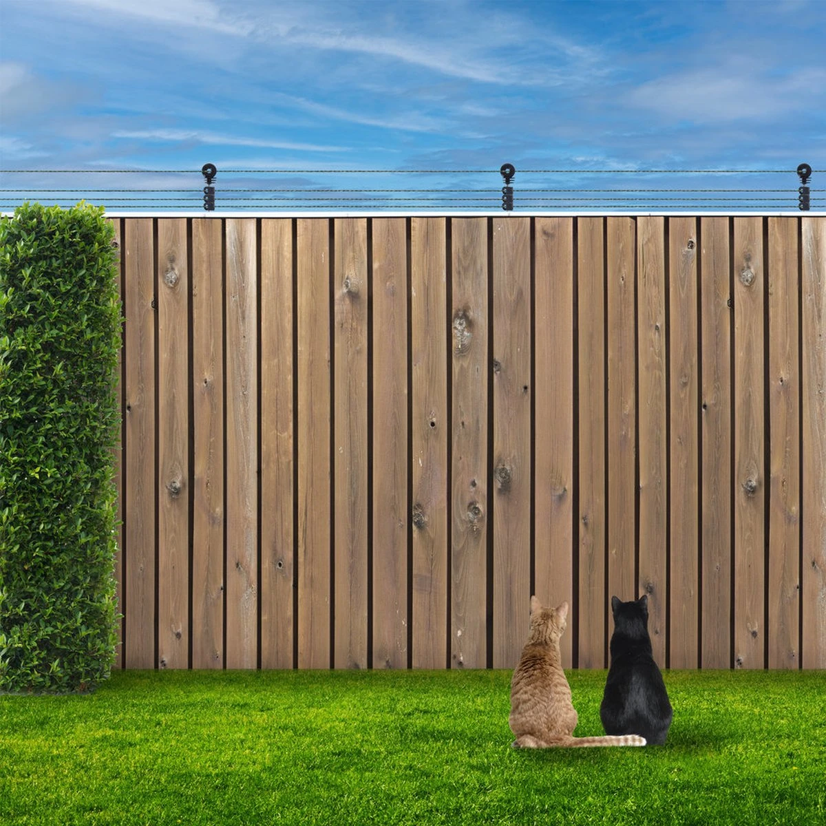 Katten Schrikdraad Set Voor Op De Schutting - Image 4