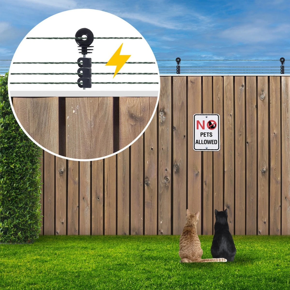 Katten Schrikdraad Set Voor Op De Schutting - Image 5