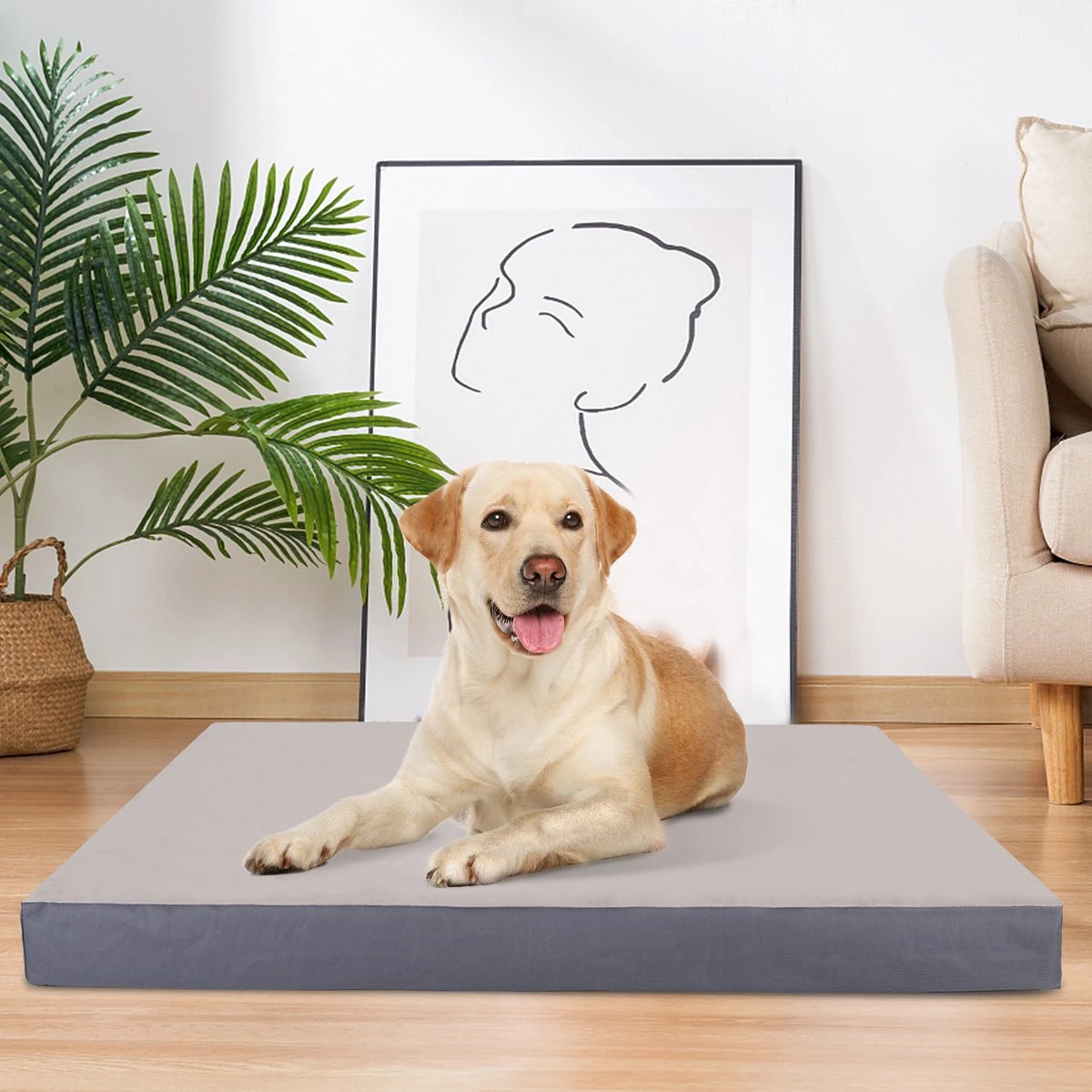 Nobleza Orthopedische Hondenkussen Wasbaar - Hondenbed - Maat S: 60 X 40 X 8 Cm - Grijs - Image 8