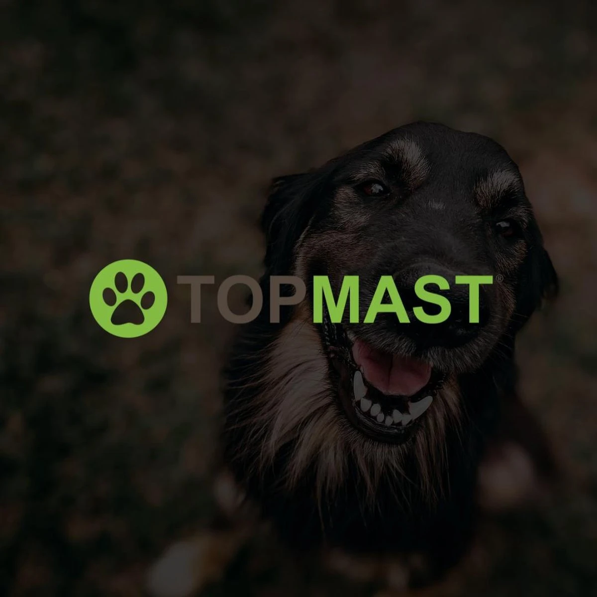 Merkloos Topmast Premium Puppyren - 120 Cm Hoog - 640 Cm Omtrek - Hondenren - Hondenhok - Zwart - Image 4