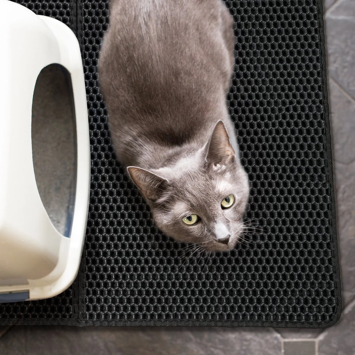 Merkloos Tastelio XXL Kattenbakmat 75x55cm - Groot Kattenbak Mat Met Innovatieve Honingraatstructuur - Dubbele Waterdichte Laag - Katten Bak Mat Met Eenvoudige Reiniging Grit Opvanger - Image 2