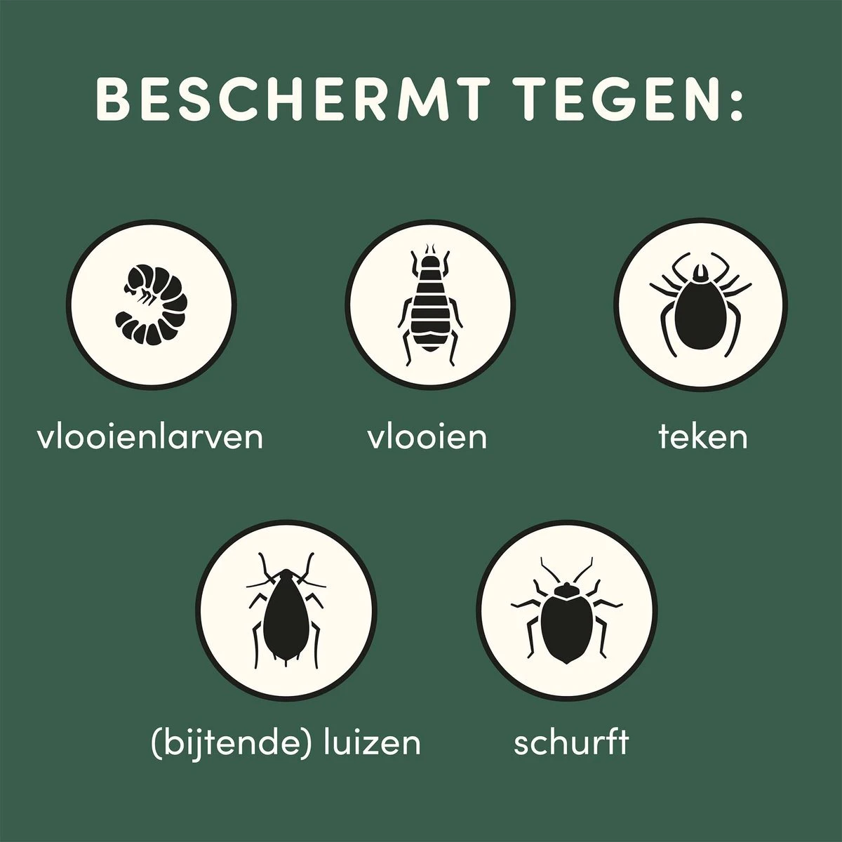 3 Stuks Vlooienband Kat Tekenband - 100% Natuurlijk Veilig En Waterbestendig - Image 8