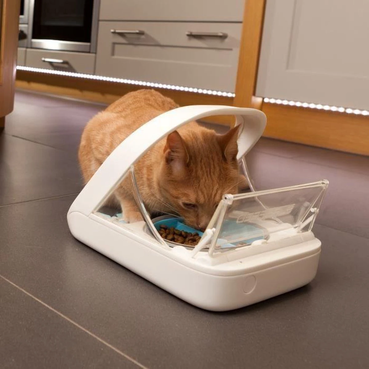 Surefeed Microchip Pet Feeder - Voerbak - 30 X 23 X 22 Cm - Image 2