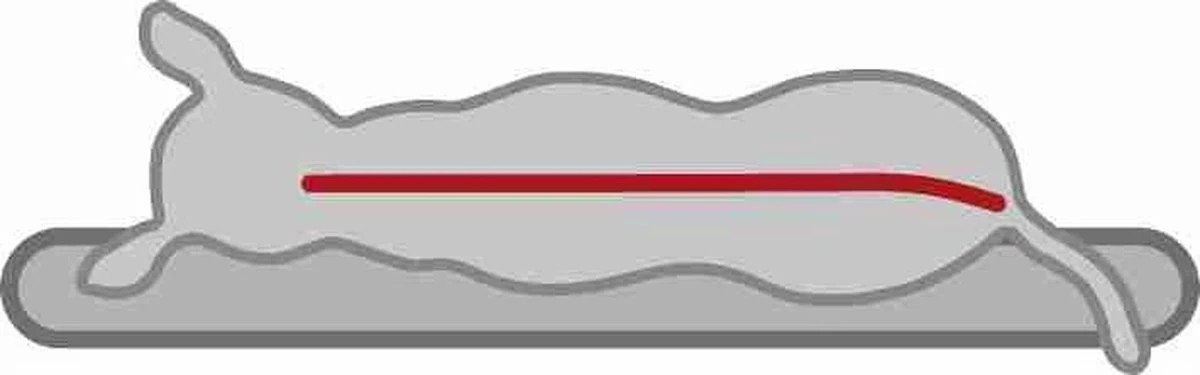 Trixie Vitaal Orthopedische Kussen Taupe/Lichtgrijs - 60 X 40 CM - Image 3