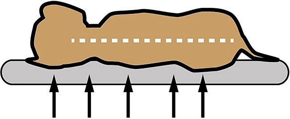 Sun Garden Pallina Orthopedisch Hondenkussen 120x80x27cm Antraciet/Grijs - Image 3