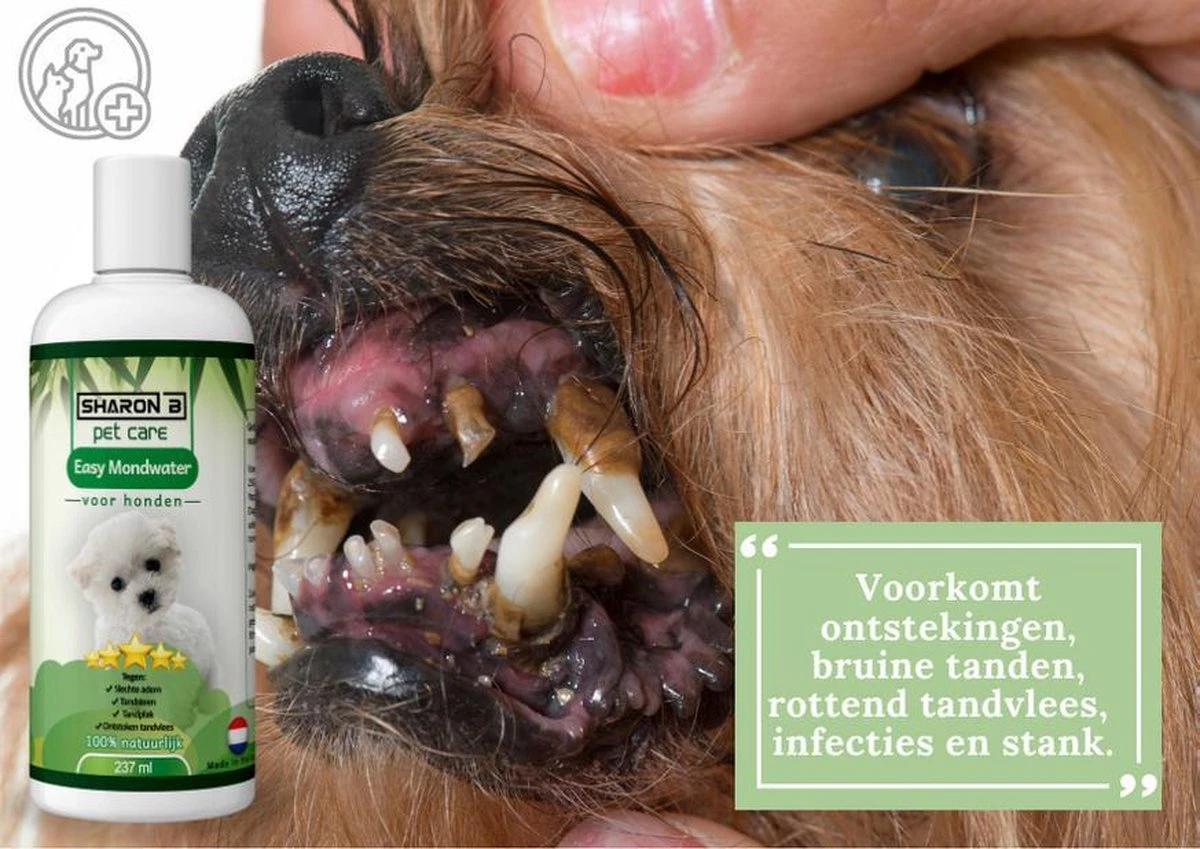 Easy Mondwater Voor Honden - 237 Ml - Tegen Stinkende Adem - Tandplak - Tandsteen - Tandvleesproblemen - Image 4