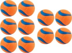 Chuckit! 10 Chuckit Ballen In Emmer - Chuckit - Veilig Voor Gebit - Hondenbal - Past In Werpstok