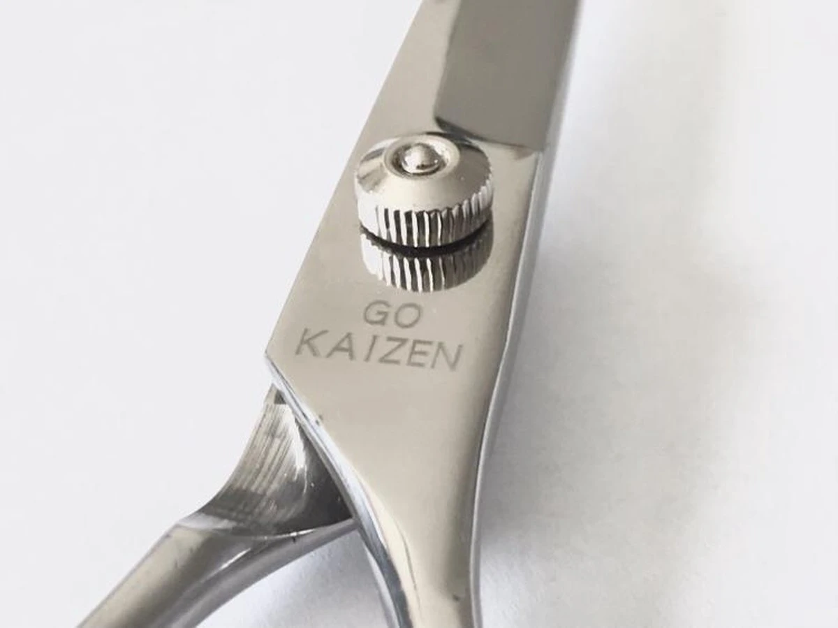 Professionele Hondenscharen Set - Extra Veilige Grooming Set - Trimscharen Voor Honden - Knipschaar - Effileerschaar / Uitdunschaar - Gebogen Schaar Met Ronde Punt - Precisieschaar - Hondenverzorging - Inclusief Kam, 2 Haarclips En Luxe Opbergdoos - Image 3