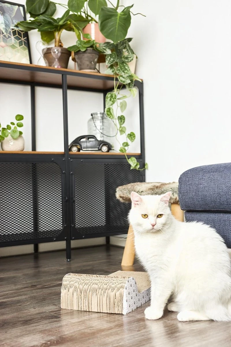 Adori Krabplank Met Spel - Krabpaal - 45x25x11 Cm - Image 2